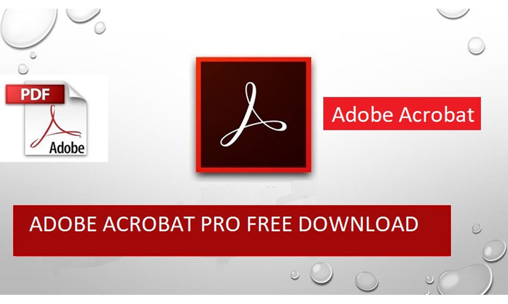 Tải thành công Adobe Acrobat