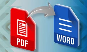 TOP các phần mềm chuyển PDF sang Word hàng loạt